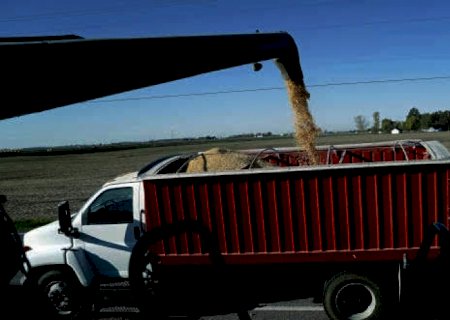 Demanda por frete rodoviário no agro sobe 6,5% no ano | Brasilagro