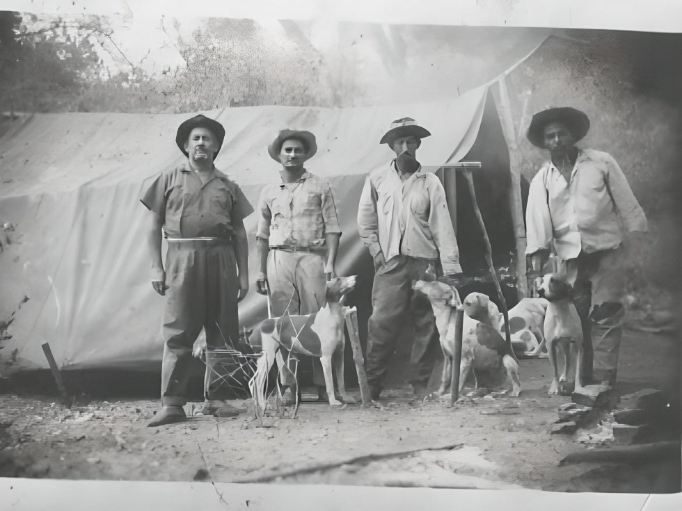 AMANDINA - Família Simões